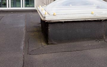 disadvantages of Llynfaes flat roofs
