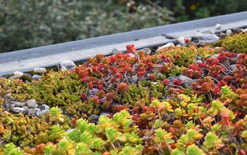 the cost of Llynfaes green roof installation