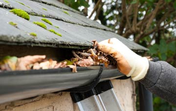 gutter cleaning Llynfaes, Isle Of Anglesey