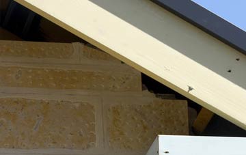 soffit repair Llynfaes