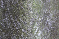 Llynfaes fibreglass roof work